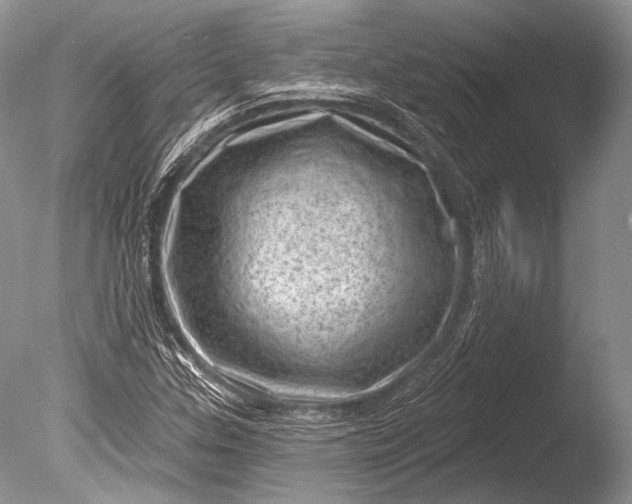 X0000085801307200703301447