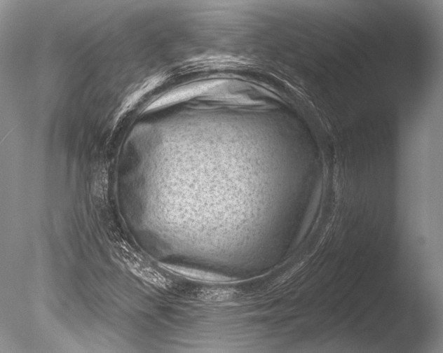 X0000085801309200703301447