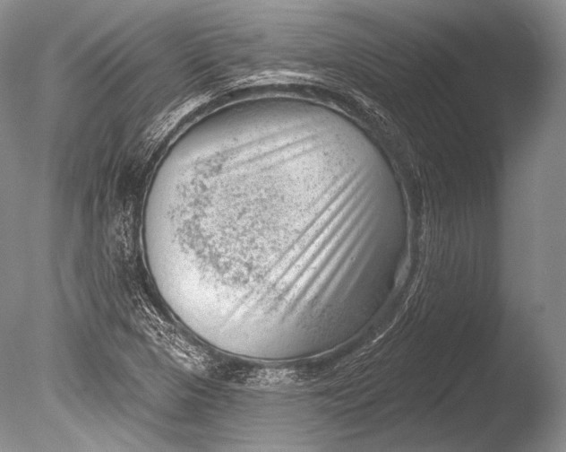 X0000085801313200703301448