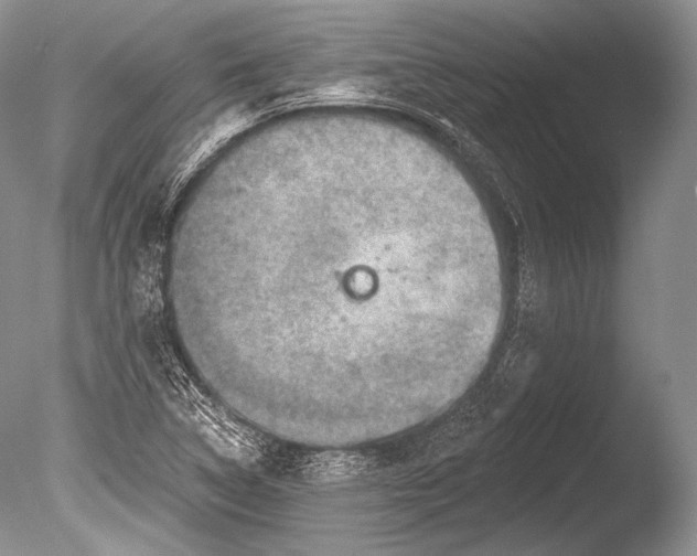 X0000085801314200703301448