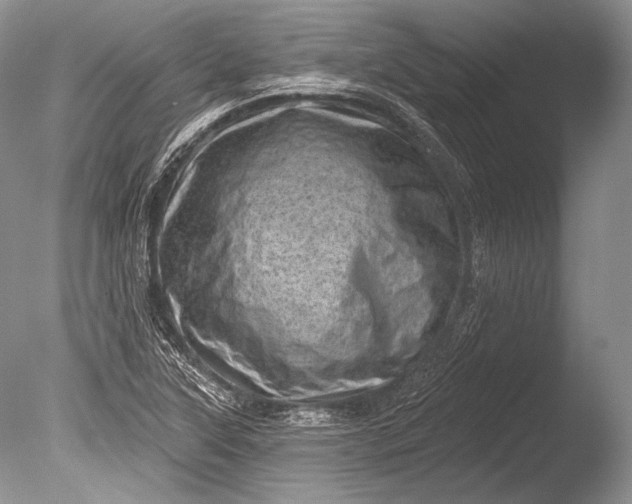 X0000085801315200703301448