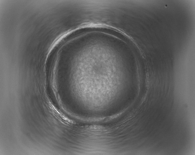 X0000085801319200703301448