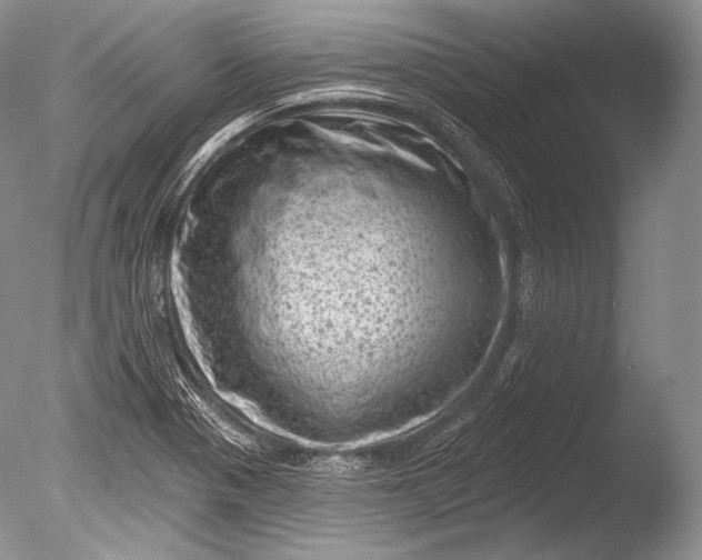 X0000085801321200703301448