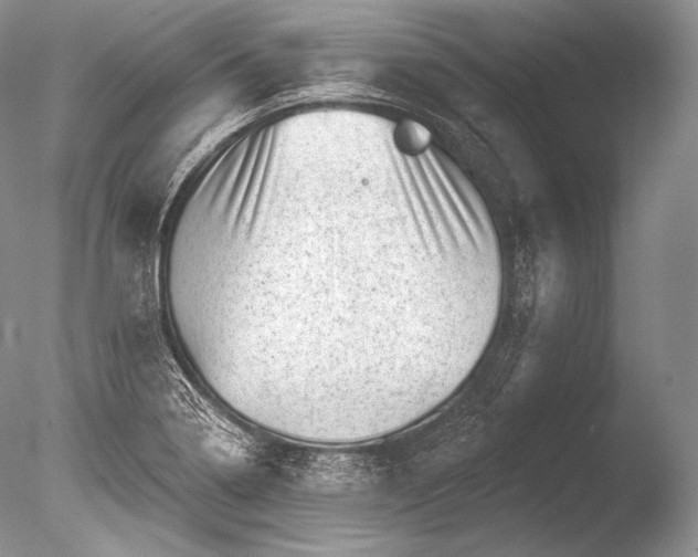 X0000085801322200703301448