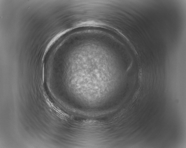 X0000085801323200703301448