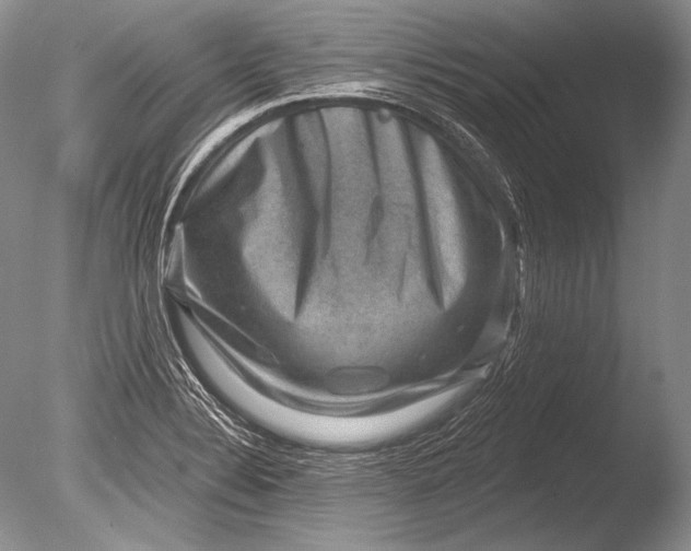 X0000085801324200703301448