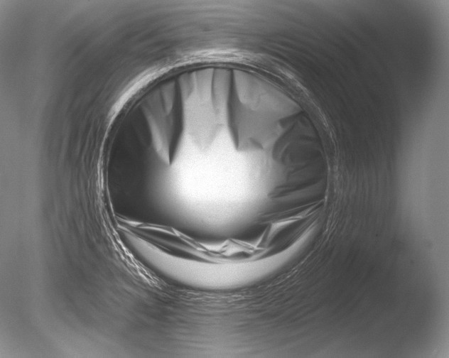 X0000085801328200703301448