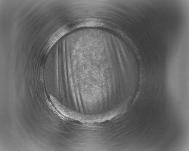 X0000085801329200703301448