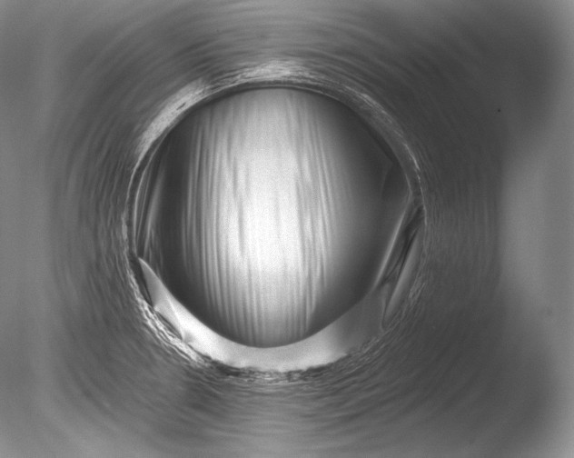 X0000085801330200703301448