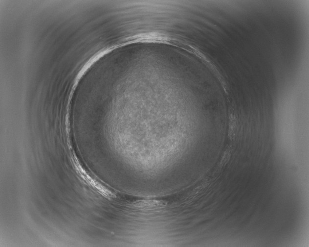 X0000085801331200703301448