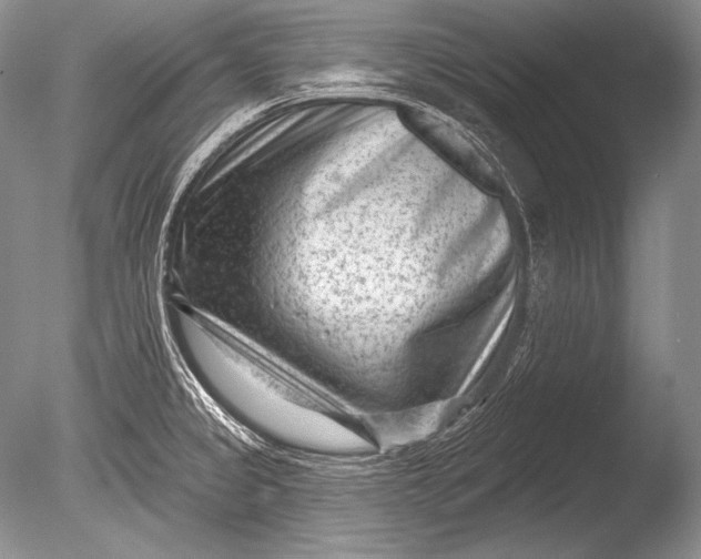 X0000085801333200703301448