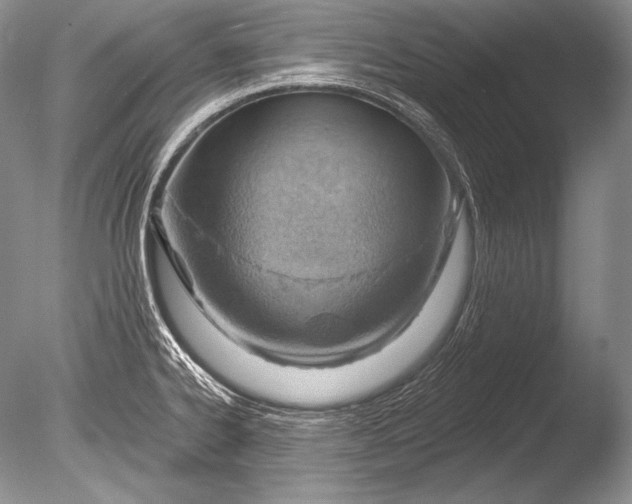 X0000085801334200703301448