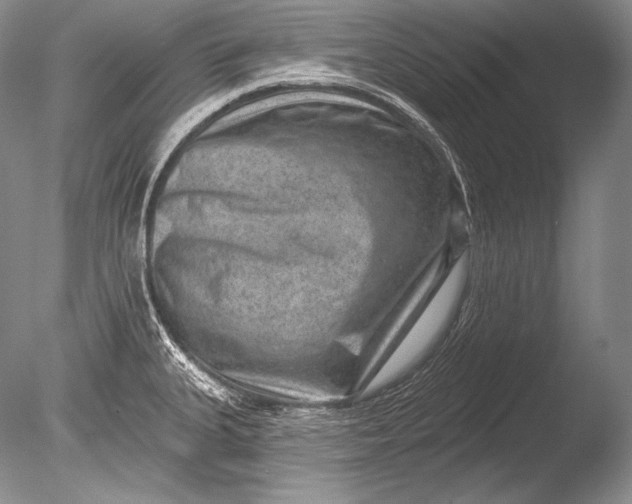 X0000085801335200703301448