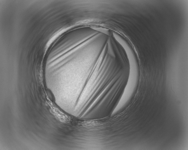 X0000085801336200703301448