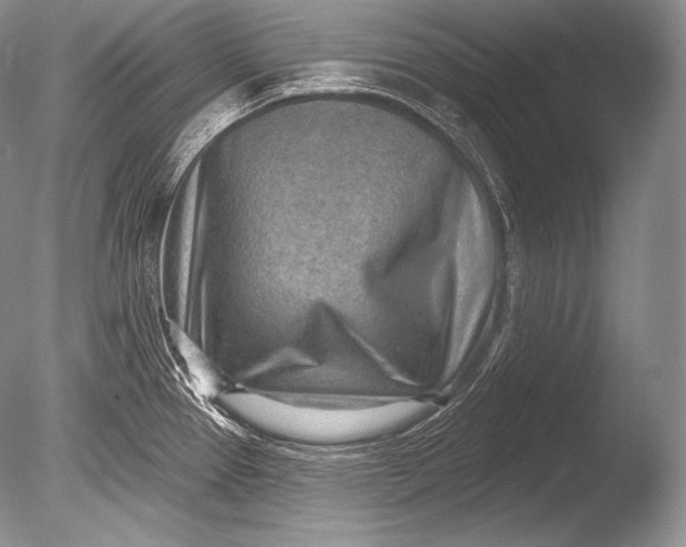 X0000085801337200703301448