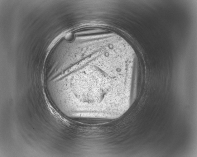 X0000085801338200703301448