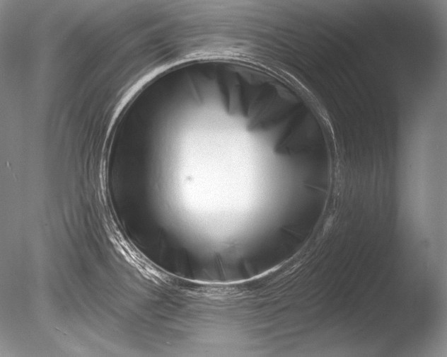 X0000085801340200703301448