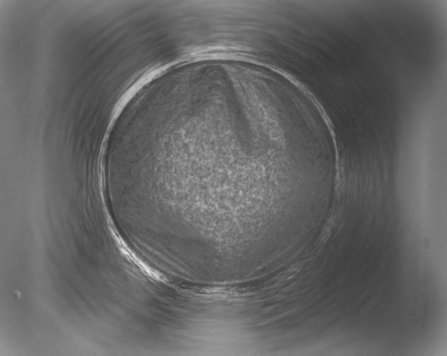 X0000085801341200703301448