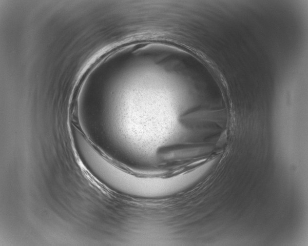 X0000085801342200703301448