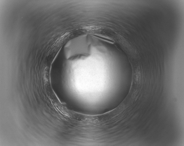 X0000085801346200703301447