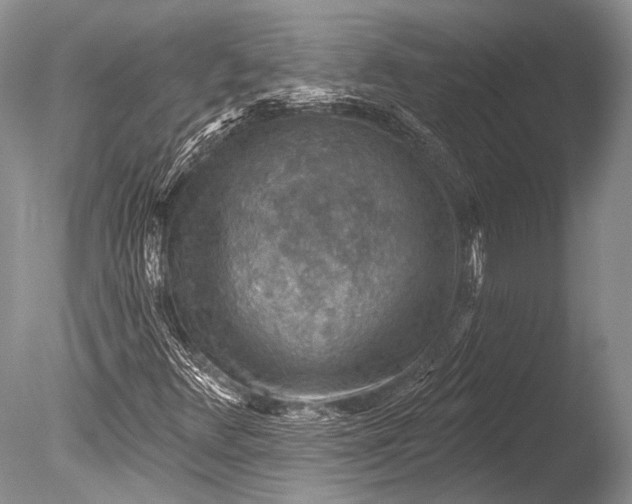 X0000085801348200703301447