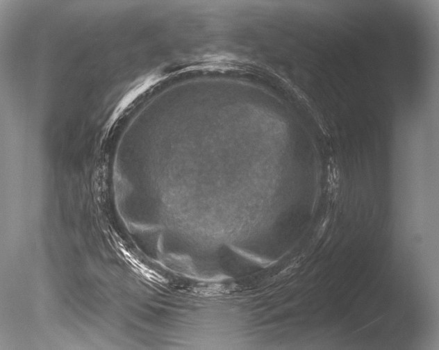 X0000085801352200703301447