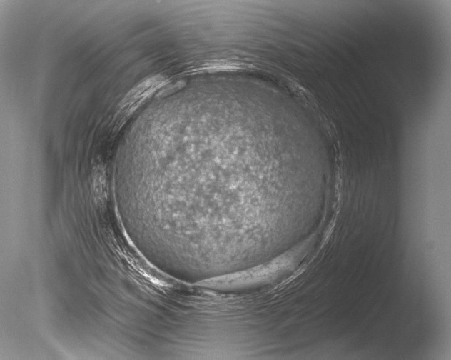 X0000085801353200703301447