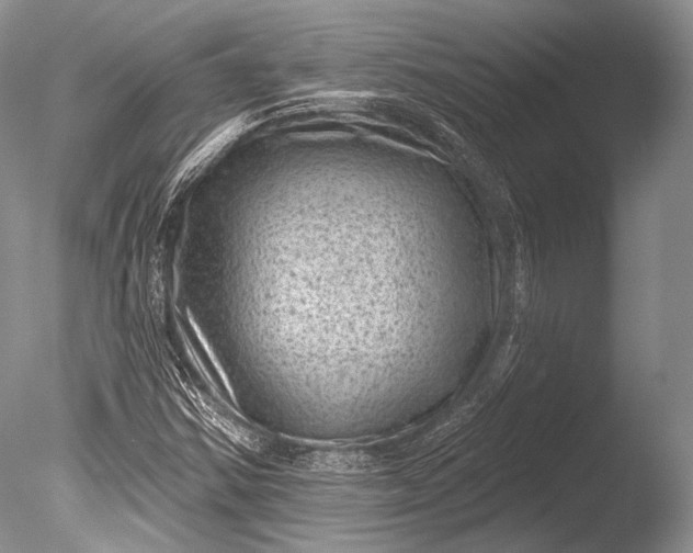 X0000085801354200703301447