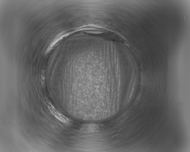 X0000085801355200703301447