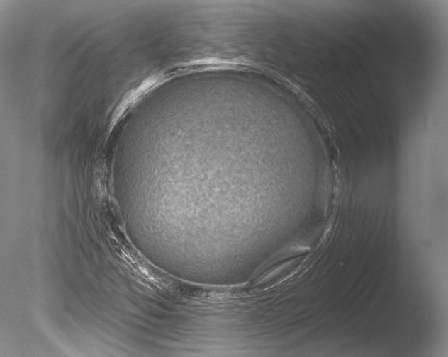 X0000085801357200703301447