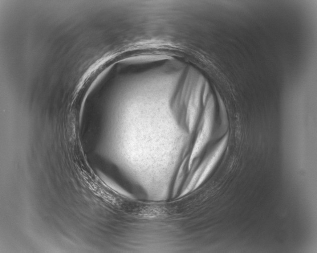 X0000085801358200703301447