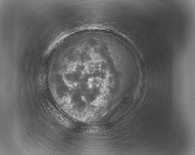 X0000085801359200703301447