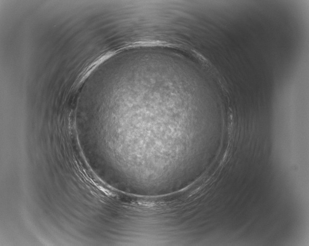 X0000085801361200703301447