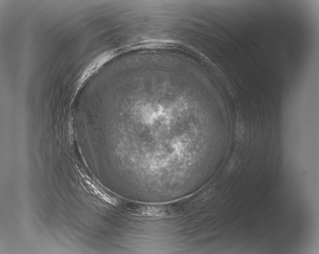 X0000085801362200703301447