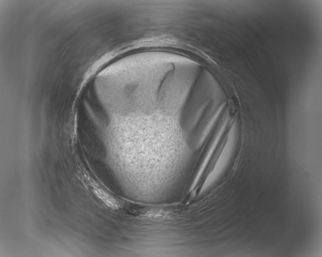 X0000085801366200703301447