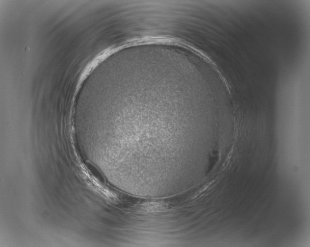 X0000085801373200703301447