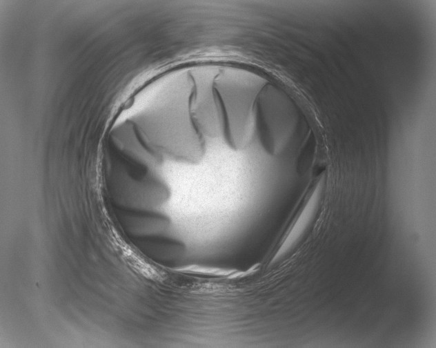 X0000085801374200703301447