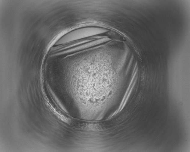 X0000085801375200703301447