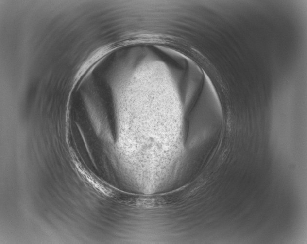 X0000085801378200703301447