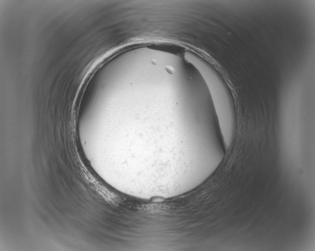 X0000085801380200703301447