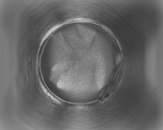 X0000085801381200703301447