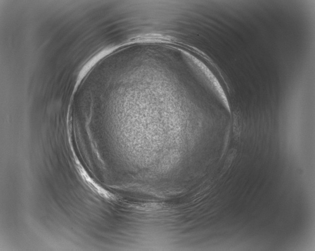 X0000085801387200703301446