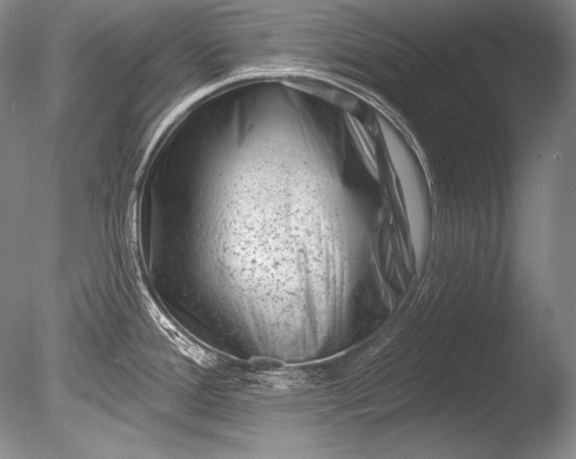 X0000085801388200703301446