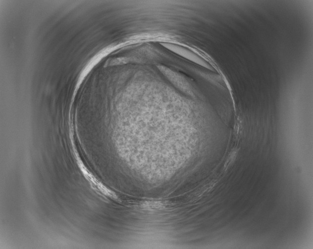 X0000085801389200703301446