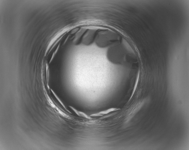 X0000085801390200703301446