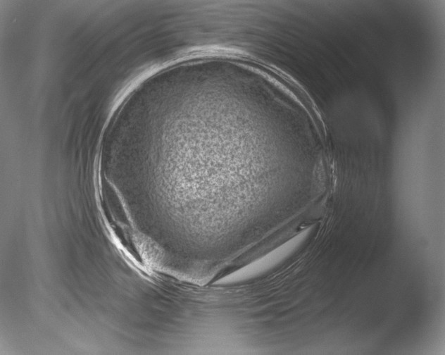 X0000085801391200703301446