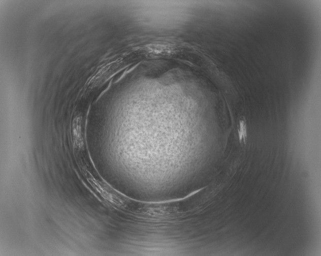 X0000085801396200703301446