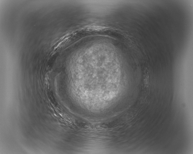 X0000085801397200703301446
