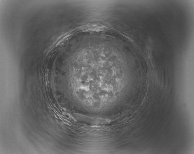 X0000085801399200703301446