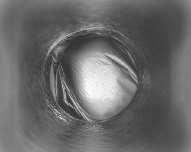 X0000085801400200703301446